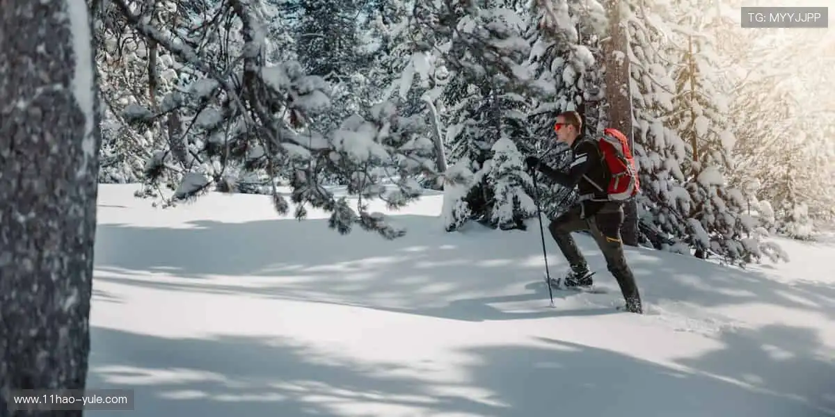 全球赛事，等你见证辉煌！🏆